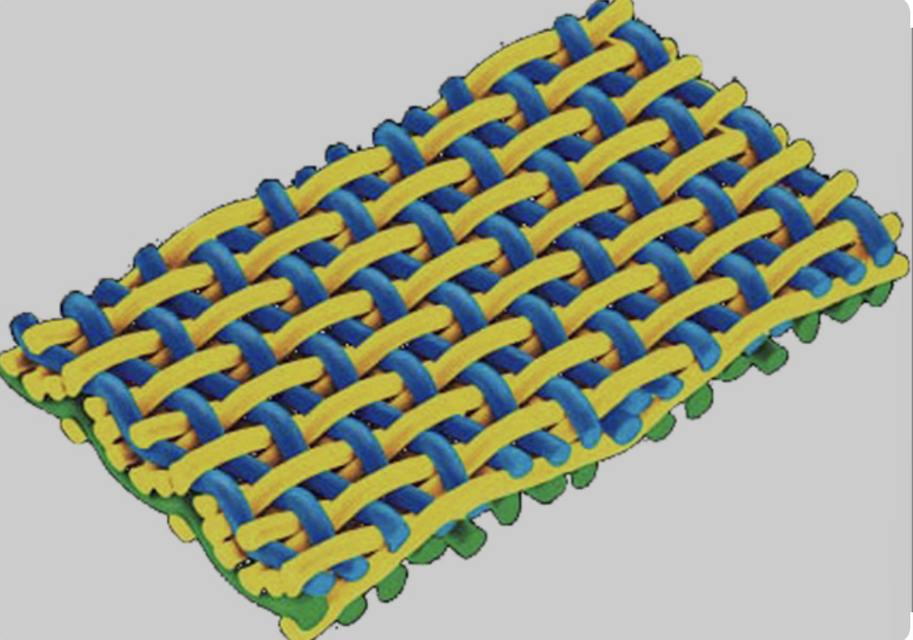 Forming Fabrics 两层成型网示意图
